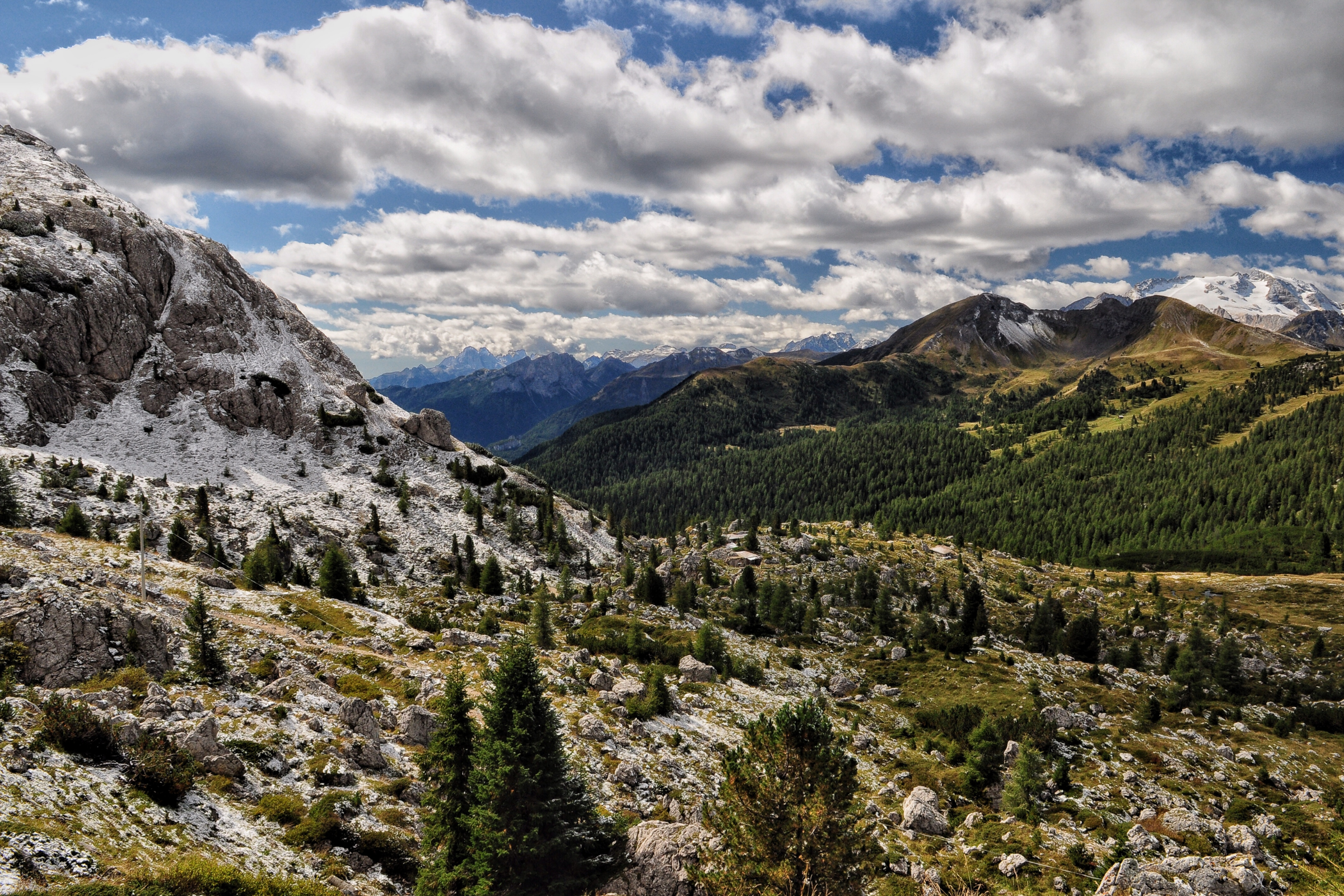 Armentarola[1].webp
